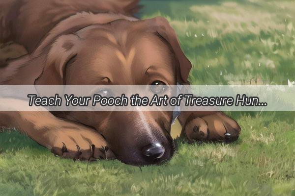 Teach Your Pooch the Art of Treasure Hunting How to Train Your Dog to Hide Treats